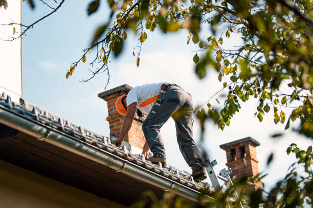 Best Commercial Roofing Services  in Old Fig Garden, CA