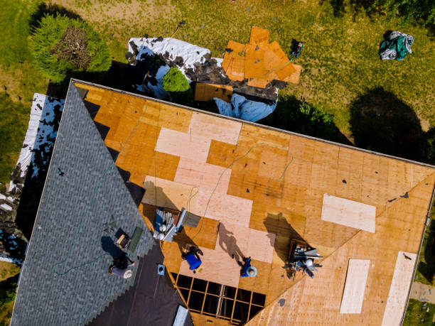 Best Affordable Roofing Company  in Old Fig Garden, CA
