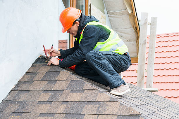 Best Roof Maintenance Services  in Old Fig Garden, CA